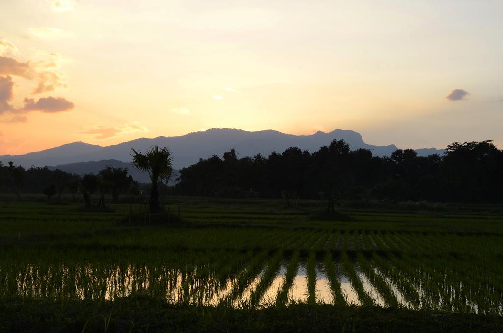 Pa Sak Tong Hotel Chiang Rai Buitenkant foto