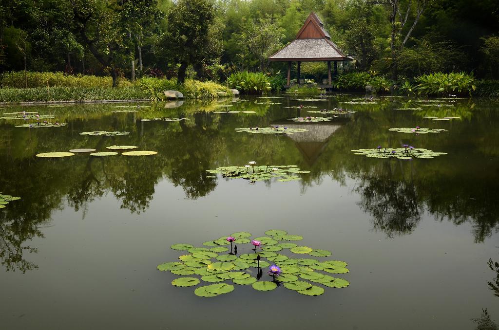 Pa Sak Tong Hotel Chiang Rai Buitenkant foto