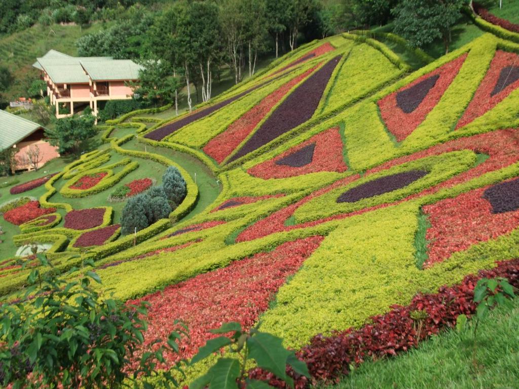 Pa Sak Tong Hotel Chiang Rai Buitenkant foto